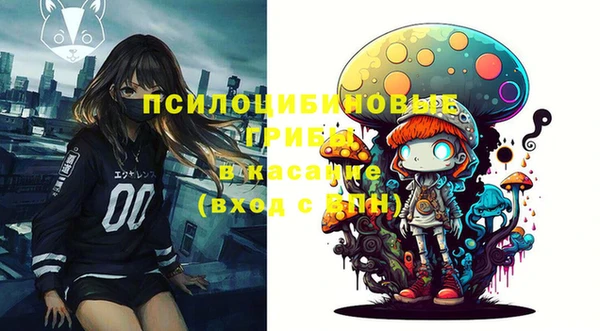 метадон Арсеньев