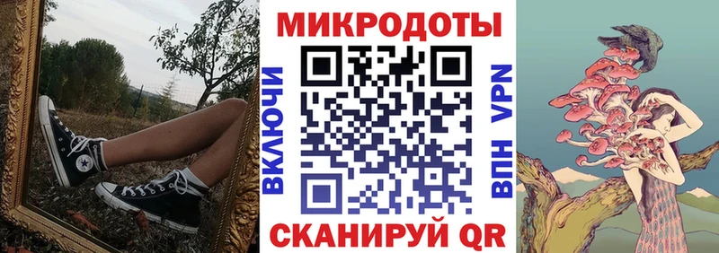 где можно купить наркотик  Вольск  Псилоцибиновые грибы Cubensis 